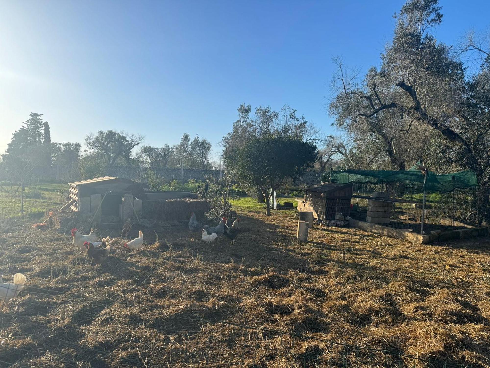מלנדוניו Tenuta Calitre מראה חיצוני תמונה